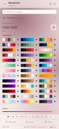 Trending palettes. The Premiere Pro workspace in Rose Atelier.